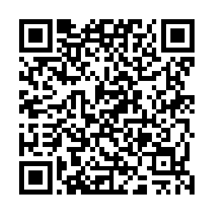 融合了华夏五千年沉淀的精华与沧溟大陆一些药理的结合二维码生成