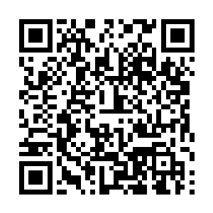 融合过后两位界主不论在躯体的坚固度和恢复速度上二维码生成