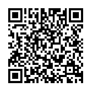 融合进来的上古十二生肖战阵更是拥有着和龙公作战的雄浑战力二维码生成