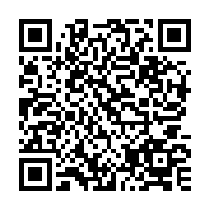 融资环境问题陆书记前期力推金融办在搞这个金融信用评估体系二维码生成