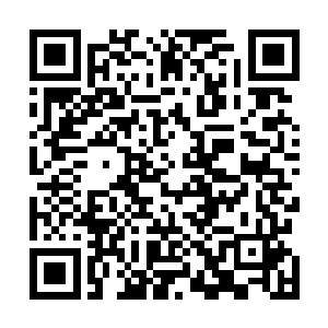 螳螂在往小龙靠近的时候却是一不小心便被豹女戳了一标二维码生成