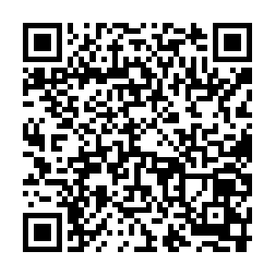 螺湮教书的前三十页都只是记录了一些乌克梅资学徒时期的实验和见闻二维码生成