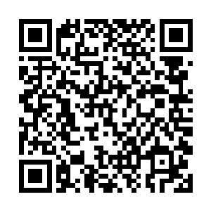 蟋蟀夹杂着杂七杂八的声音开始在这个地方响了起来二维码生成