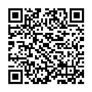 蠢蠢不浮出水物走散他们和其他动是因为耽误了时间二维码生成