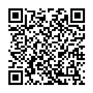 血亲王哈布斯不知道是不是被这不合常理的战法吓懵了二维码生成