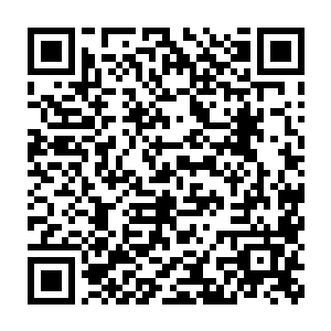 血刃外围巨大的灵气波动还是将覆在那人的头发和脸上的薄纱都给燎了二维码生成