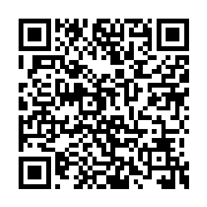 血刃的脸上也露出了一抹无比愤怒和恐惧的表情二维码生成