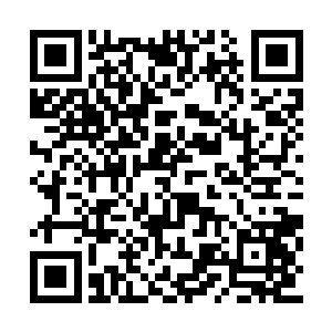 血妖姬们被卯荼那莫名情绪的注视也是看的一愣二维码生成