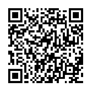 血妖满头大汗的跟了进去――这洪大力简直太奇怪了二维码生成