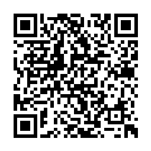 血常这个名字在大荒内一下子变成了最臭的名字二维码生成