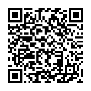 血幽紫傻眼的看了看明显还有七八只还活着的妖君说道二维码生成