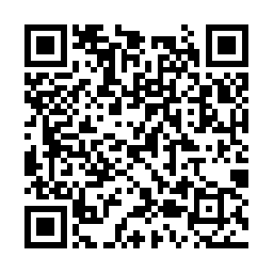 血幽紫高高兴兴的脸随着姐姐们不约而同的一句话二维码生成