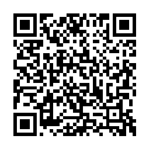 血性却很难锻炼――你可愿意继入叔父这房烟火二维码生成