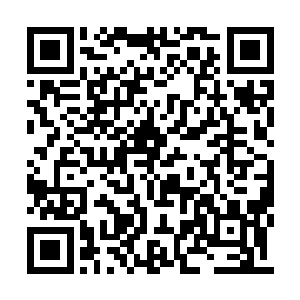 血族子爵那边传递过来的力量比想象中要弱得多二维码生成