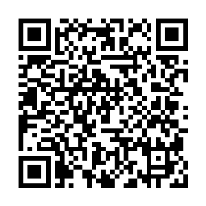 血杀真君的玄天真罡到让你小子掌握了几分火候二维码生成