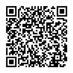 血楼和雷云佣兵团的两个两个二重玄主硬生生避开暴雷丹阵的阻拦二维码生成