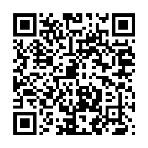 血河之主觉得这世间再没有什么可以阻挡自己的了二维码生成