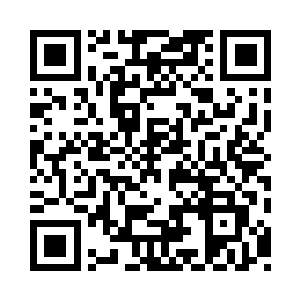 血流成河……我……要……死……了……二维码生成