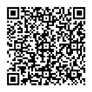 血海下面是另一个世界有山有河谷甚至还有残破的宫殿房屋一切都显得那么得萧条孤寂二维码生成