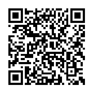 血液也瞬间直接将九彩神龙的身体染成了血红色二维码生成