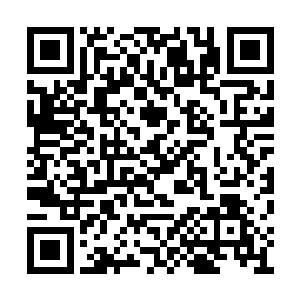 血煞组织来到这里的强者除了血煞组织首领以外二维码生成