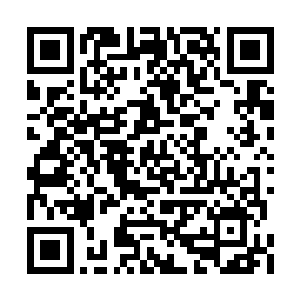 血狱怪物眼中猛地爆射出一道恐怖的嗜血的表情二维码生成