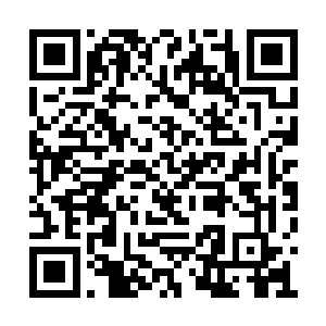 血球中蕴含的魔气开始源源不绝的涌入他的体内二维码生成