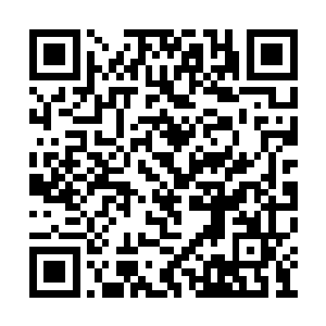 血红的蛇芯带着黑色的毒雾喷吐的方向就是一偏二维码生成