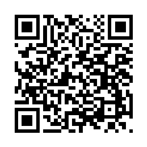 血红着双眼专注的吞噬着场中的血气能量二维码生成