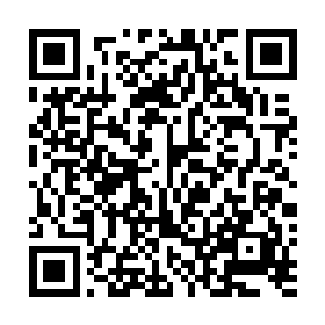 血统……什么都是血统……那你们可以剥夺她的权利好了二维码生成