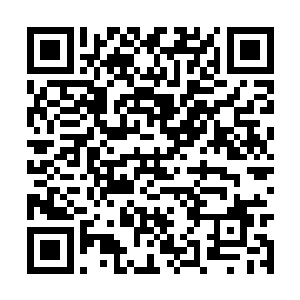 血翼的三个当家的血翼血虎和皇甫清河都到了这里二维码生成