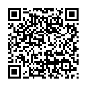 血肉磨盘暴增的威力更是把柳倩依吓的要傻过去了二维码生成