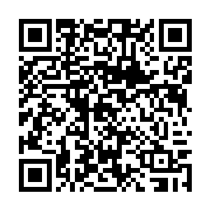 血肉精华被寄生在上面的一片花绒吸食的一干二净二维码生成