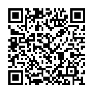 血肉组成的还是精密机械和最强大的晶石组成的二维码生成