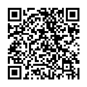 血肉随着风在其上形成了一道血色的小旋风将他覆盖二维码生成