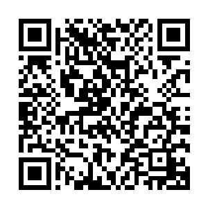 血脉之果带来的能够激活自己体内先祖血脉的能量点珍贵无比二维码生成