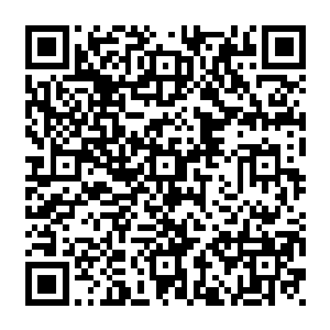 血脉之果给他带来的那1784点的血脉能量张铁并没有马上动用来激活自己的先祖血脉二维码生成