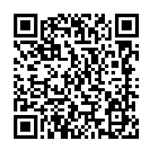 血脉力量中甚至传来一丝淡淡的王者大帝的气息二维码生成