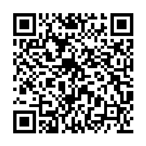 血脉高的龙族对血脉低的龙族有一种天然的克制二维码生成