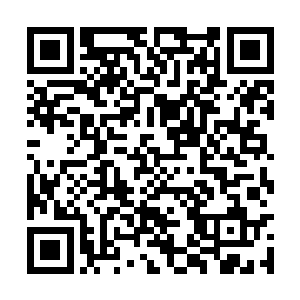 血腥大帝将自己的墓穴入口放在了这么一座城市里二维码生成