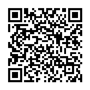血色心魔原本就是侵入虚拟系统如探囊取物的信息生命二维码生成