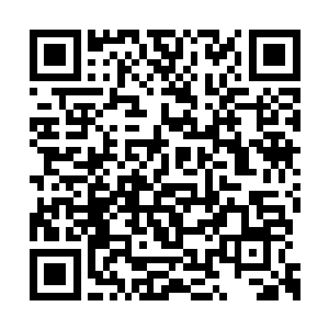 血色心魔没少在脑域深处撺掇他像是燕西北一样二维码生成