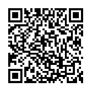 血色漩涡里已伸出了两只由血水组成的巨大手掌二维码生成