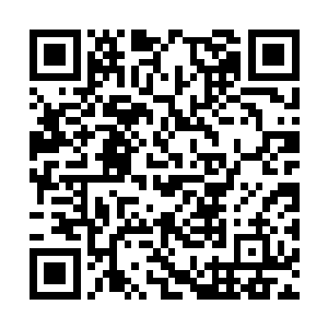 血色身影磅礴如银河一般的元神疯狂的在星空搜寻二维码生成