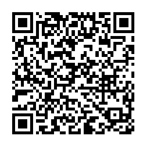 血蛟魔婴竟然连这些灵婴和元婴的元神记忆意识也一并的吞噬融合了二维码生成