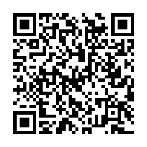 血闪吸收这股力量之后也没有爆发隐藏在本体之中二维码生成