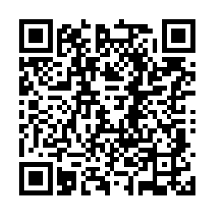 血魂的身体瞬间被一团恐怖的紫色的雷电包裹住了二维码生成