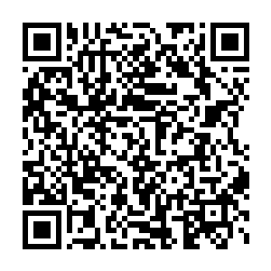 血魔宗的护山神兽本来就是诞生于血魔宗那最早的古老血池之中的二维码生成