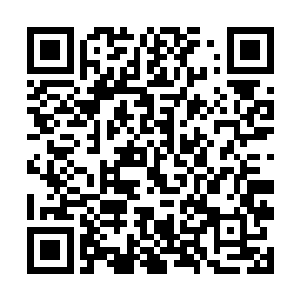 血魔神皇只能眼睁睁能神皇一下子吸收掉了血液朱雀二维码生成