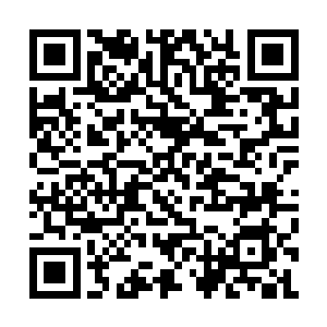 行了~~乖乖升阶吧~~你的元婴可以化神了~~接下来二维码生成